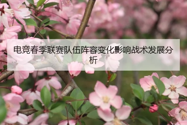 电竞春季联赛队伍阵容变化影响战术发展分析